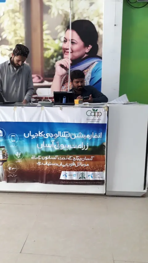 Telenor Franchise in Dera Ghazi Khan, Punjab