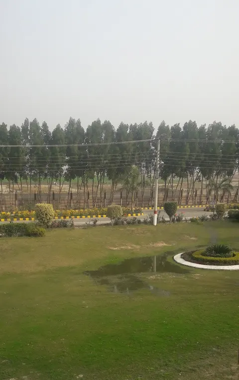 Punjab Danish Schools, Dera Ghazi Khan in Dera Ghazi Khan, Punjab