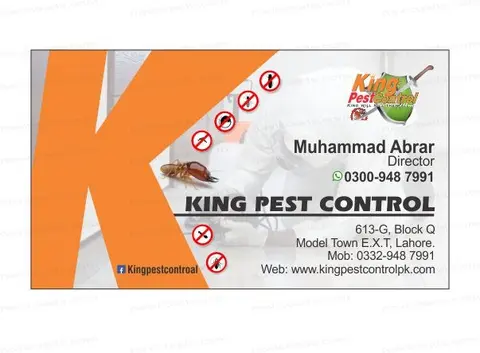 King Pest Control | Termite Treatment Services | Termite Control Lahore | Pest Control in Lahore in Lahore, Punjab