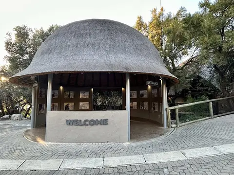 Lion & Safari Park in Broederstroom, NW
