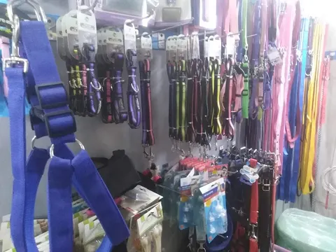 Asim Pets Clinic in Lahore, Punjab