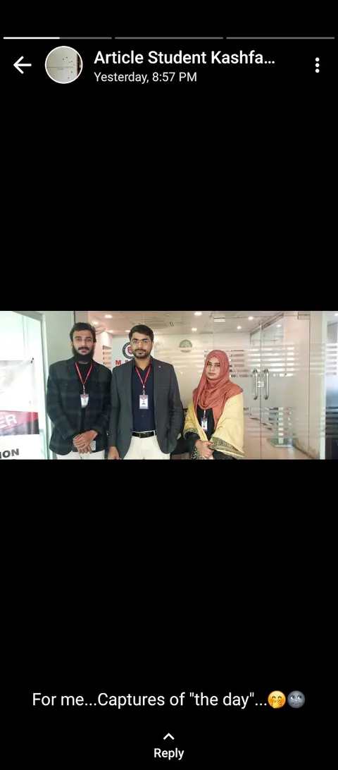 Muhammad Salman Naseem & Co. (Chartered Accountants)