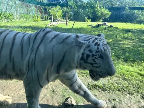 Sardar Patel Zoological Park, Ektanagar in Ektanagar, GJ