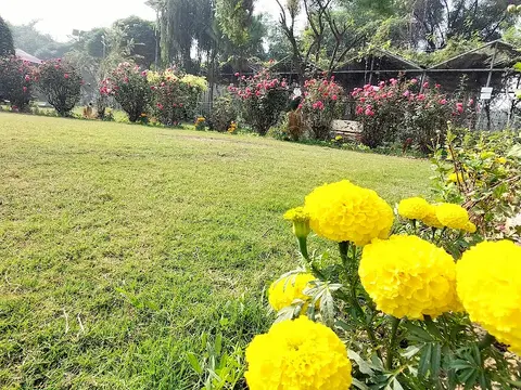 Wildlife Park D.I.Khan جنگلی حیات پارک in Dera Ismail Khan, Khyber Pakhtunkhwa