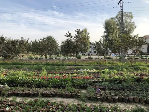 The Islamia University of Bahawalpur - IUB Bahawalnagar New campus in Bahawalnagar, Punjab