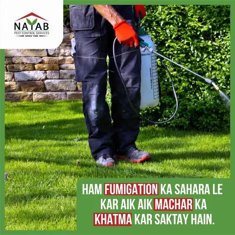Nayab Pest Control Services in Lahore, Punjab