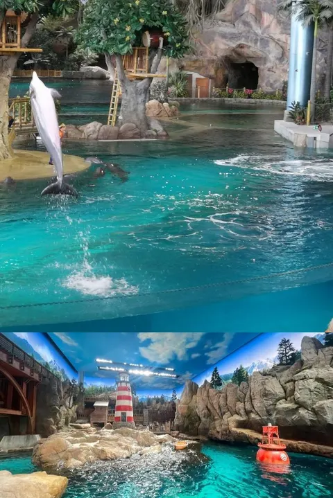 Sea World ( Aquarium & Fish Shop ) in Sialkot, Punjab