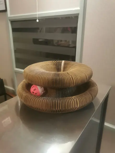 National Pets and Birds Clinic, Talagang. in Talagang, Punjab
