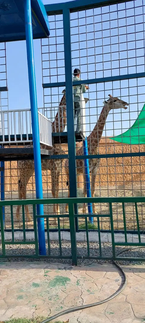 Citi Theme Park in Gujranwala, Punjab