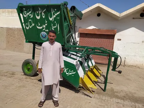 Central Cotton Research Institute Multan in Multan, Punjab