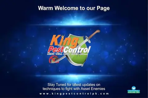 King Pest Control | Termite Treatment Services | Termite Control Lahore | Pest Control in Lahore in Lahore, Punjab