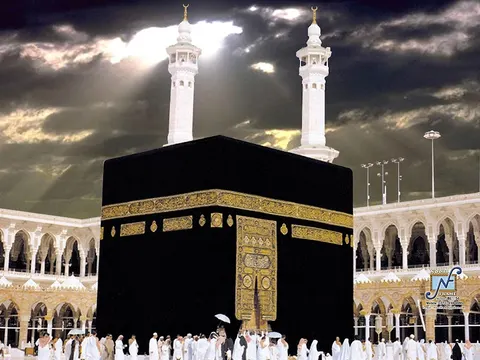 FLY DUBAI TRAVELS AND TOURS in Faisalabad, Punjab
