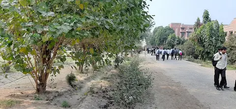 Govt Degree College Bahawalnagar in Bahawalnagar, Punjab
