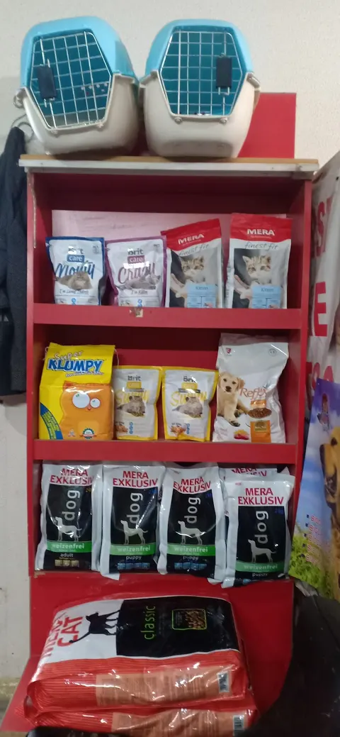 First Care Pets Clinic in Lahore, Punjab