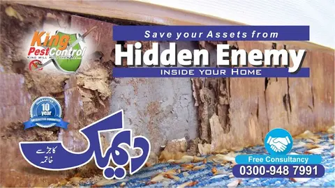 King Pest Control | Termite Treatment Services | Termite Control Lahore | Pest Control in Lahore in Lahore, Punjab
