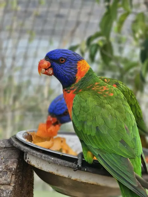 Sardar Patel Zoological Park, Ektanagar in Ektanagar, GJ