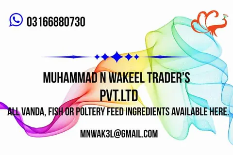 Muhammad n wakeel traders(A Feed Bank) in Multan, Punjab