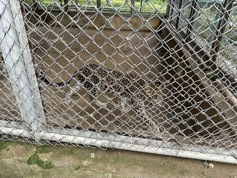 Lalazar Park in Nathia Gali, Khyber Pakhtunkhwa