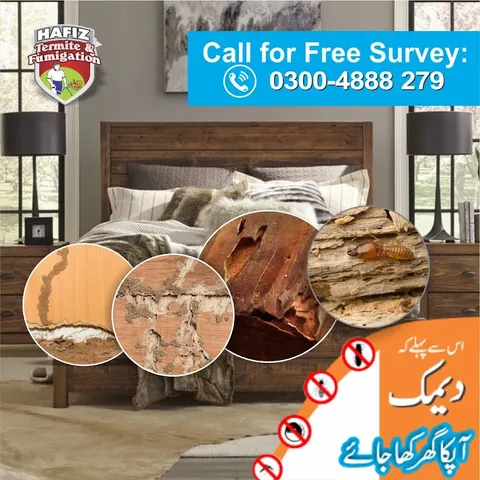 Hafiz Pest Control in Lahore, Punjab