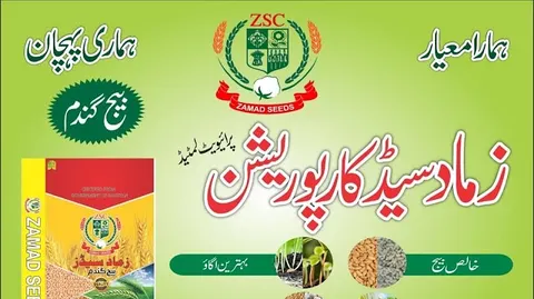 Zamad Seed Corporation. Pvt. Ltd in Sadiqabad, Punjab