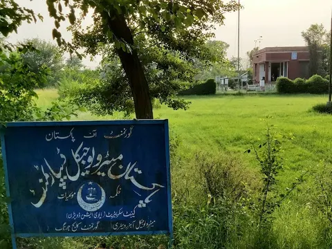 Govt Graduate College Adhiwal Jhang in Jhang, Punjab