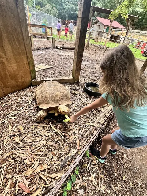 North Georgia Wildlife Park and Safari in Cleveland, GA