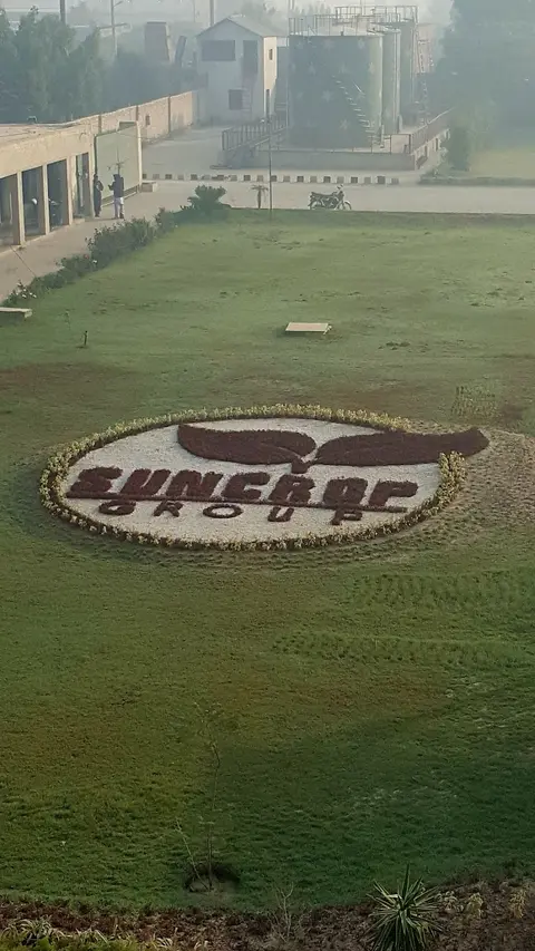 Suncrop Group in Multan, Punjab