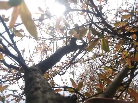 26 Area Park in Wah, Punjab