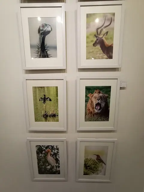 Hamail Art Gallery in Lahore, Punjab
