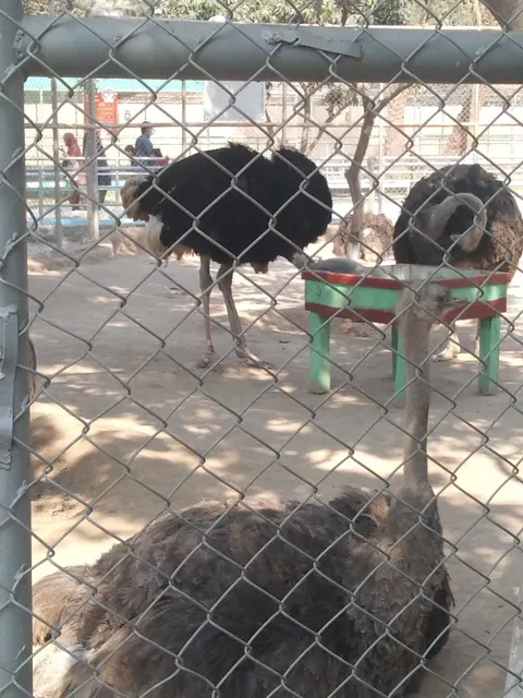 360 ZOO, DHA Multan in Multan, Punjab