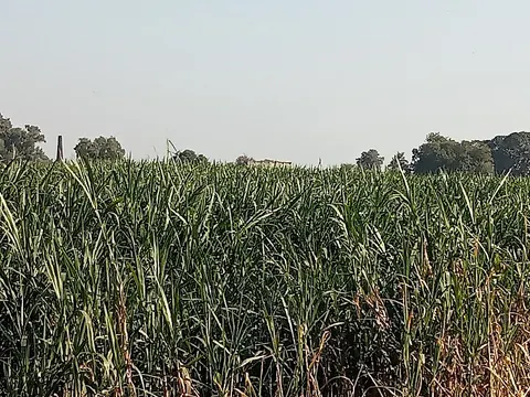 District Bar Association Sialkot in Sialkot, Punjab
