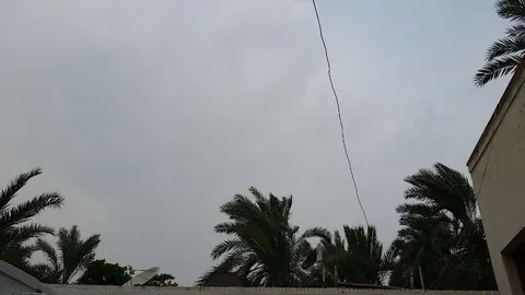 New Bolan Nursery in Dera Ghazi Khan, Punjab