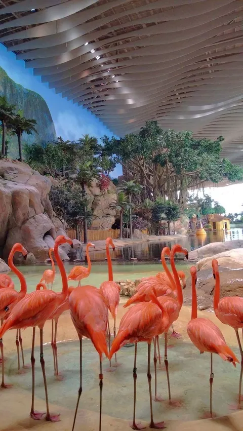 Sea World ( Aquarium & Fish Shop ) in Sialkot, Punjab