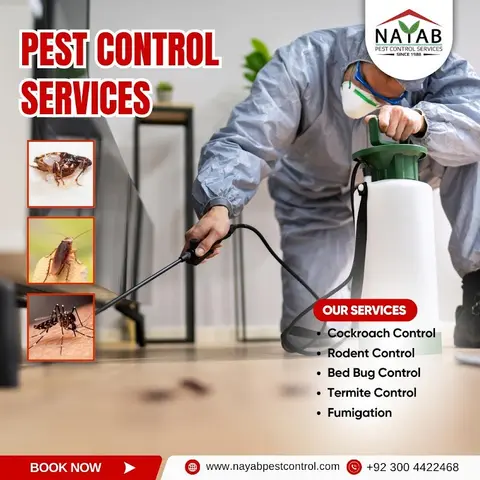 Nayab Pest Control Services in Lahore, Punjab