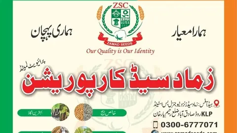 Zamad Seed Corporation. Pvt. Ltd in Sadiqabad, Punjab