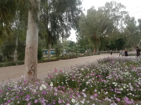 IUB Old Campus BWN in Bahawalnagar, Punjab