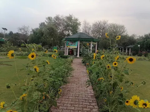 Wildlife Park D.I.Khan جنگلی حیات پارک in Dera Ismail Khan, Khyber Pakhtunkhwa