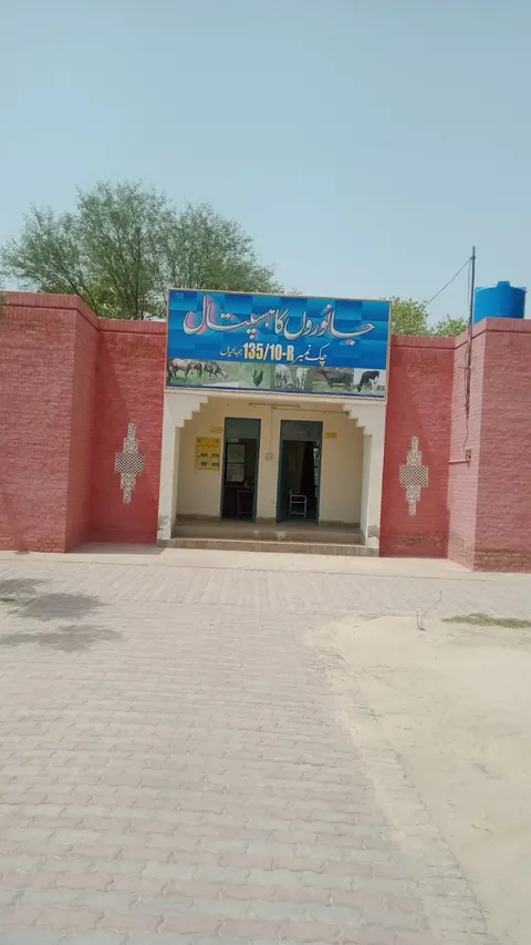 State Life Building in Multan, Punjab