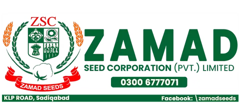 Zamad Seed Corporation. Pvt. Ltd in Sadiqabad, Punjab
