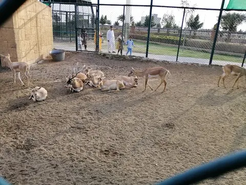 Citi Theme Park in Gujranwala, Punjab