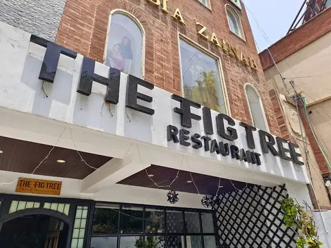 The Fig Tree in Lahore, Punjab