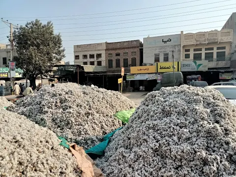 غلہ منڈی Grain Market in Khanewal, Punjab
