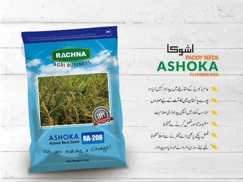 Rachna Agri Business in Gujranwala, Punjab