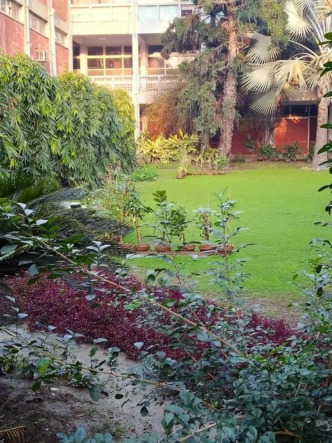 School Of Chemistry in لاہور, پنجاب