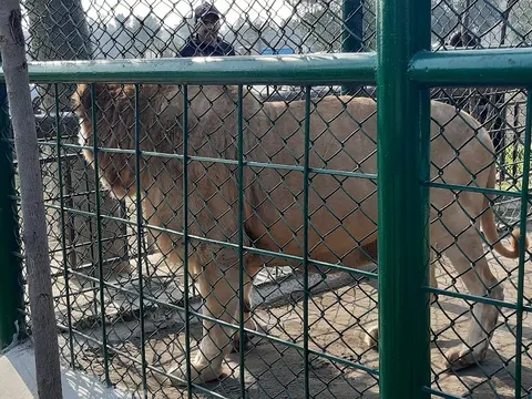 Citi Housing Zoo in Sialkot, Punjab
