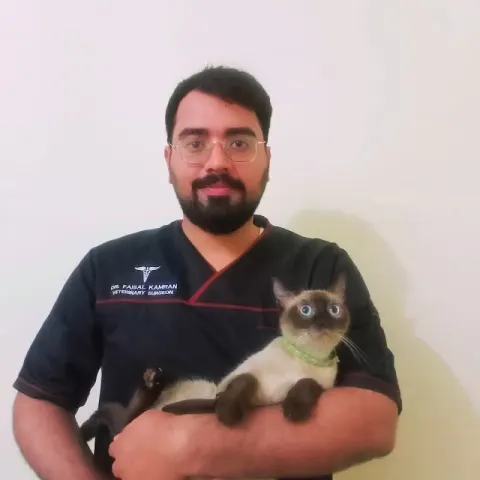 Faisal Veterinary Clinic Mianwali