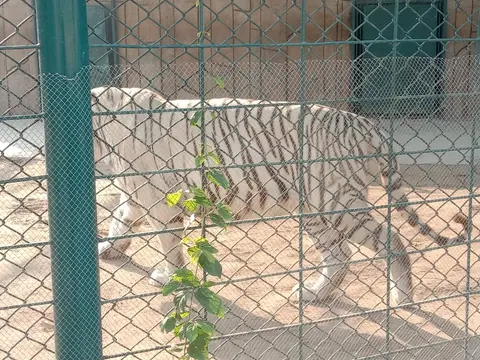 Theme Park Citi Housing Multan in Multan, Punjab