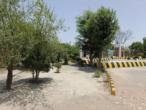Punjab Danish Schools, Dera Ghazi Khan in Dera Ghazi Khan, Punjab