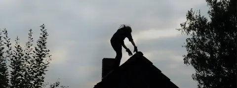 Kaleb & Sons Chimney Sweep