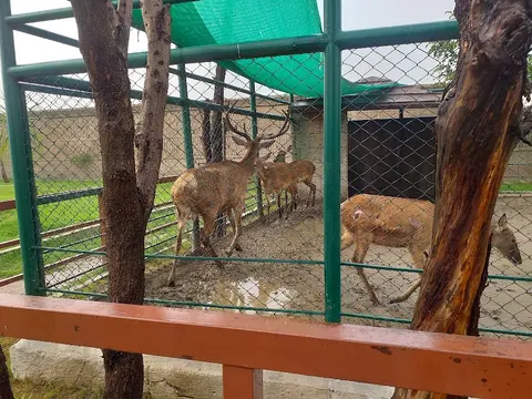 Citi Housing Zoo in Sialkot, Punjab